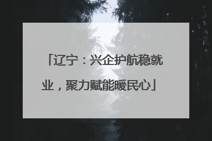 辽宁：兴企护航稳就业，聚力赋能暖民心