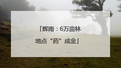 辉南：6万亩林地点“药”成金