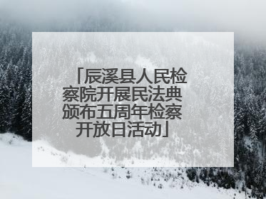 辰溪县人民检察院开展民法典颁布五周年检察开放日活动