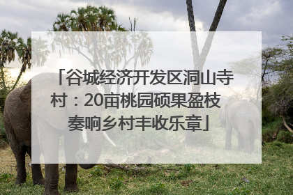 谷城经济开发区洞山寺村：20亩桃园硕果盈枝 奏响乡村丰收乐章