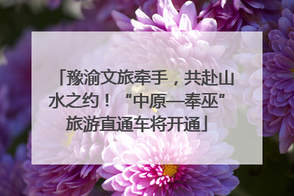 豫渝文旅牵手，共赴山水之约！“中原—奉巫”旅游直通车将开通