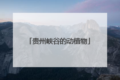 贵州峡谷的动植物