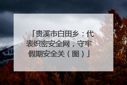 贵溪市白田乡：代表织密安全网，守牢假期安全关（图）