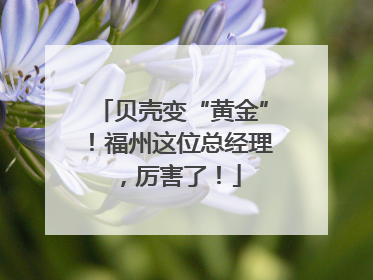贝壳变“黄金”！福州这位总经理，厉害了！