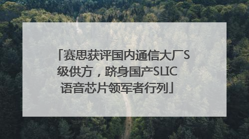 赛思获评国内通信大厂S级供方，跻身国产SLIC语音芯片领军者行列