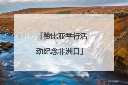 赞比亚举行活动纪念非洲日
