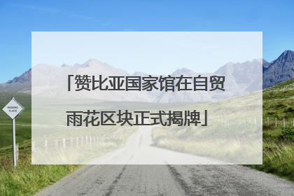 赞比亚国家馆在自贸雨花区块正式揭牌