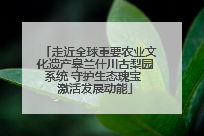 走近全球重要农业文化遗产皋兰什川古梨园系统 守护生态瑰宝 激活发展动能
