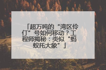 超万吨的“湾区伶仃”号如何移动？工程师揭秘：类似“蚂蚁托大象”