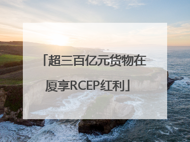 超三百亿元货物在厦享RCEP红利