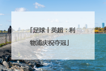 足球丨英超：利物浦庆祝夺冠