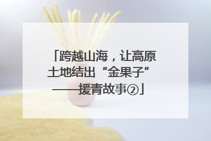 跨越山海，让高原土地结出“金果子”——援青故事②