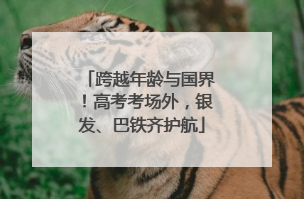 跨越年龄与国界！高考考场外，银发、巴铁齐护航