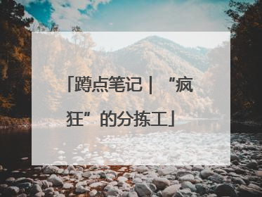 蹲点笔记｜“疯狂”的分拣工