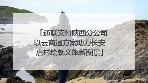 通联支付陕西分公司以云商通方案助力长安唐村绘就文旅新图景