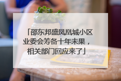 邵东邦盛凤凰城小区业委会筹备十年未果，相关部门回应来了