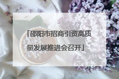 邵阳市招商引资高质量发展推进会召开