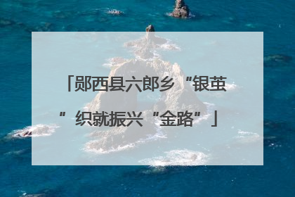 郧西县六郎乡“银茧”织就振兴“金路”