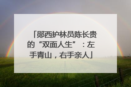 郧西护林员陈长贵的“双面人生”：左手青山，右手亲人