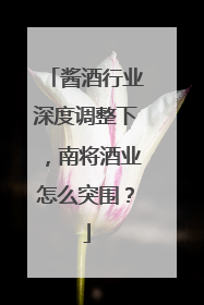 酱酒行业深度调整下，南将酒业怎么突围？
