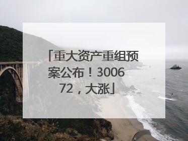 重大资产重组预案公布！300672，大涨