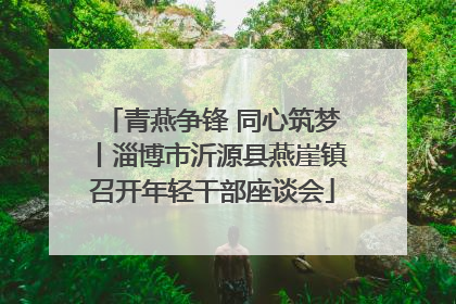青燕争锋 同心筑梦丨淄博市沂源县燕崖镇召开年轻干部座谈会