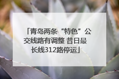 青岛两条“特色”公交线路有调整 昔日最长线312路停运