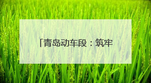 青岛动车段：筑牢夏日“清凉防线”