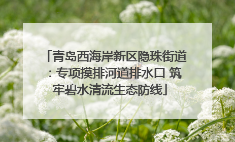 青岛西海岸新区隐珠街道：专项摸排河道排水口 筑牢碧水清流生态防线