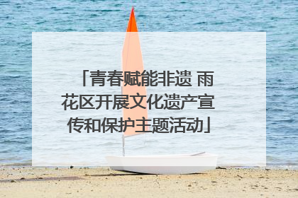 青春赋能非遗 雨花区开展文化遗产宣传和保护主题活动