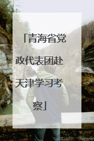 青海省党政代表团赴天津学习考察