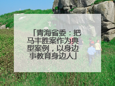 青海省委：把马丰胜案作为典型案例，以身边事教育身边人