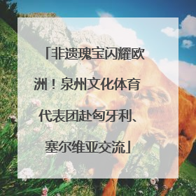 非遗瑰宝闪耀欧洲！泉州文化体育代表团赴匈牙利、塞尔维亚交流