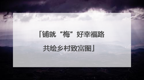 铺就“梅”好幸福路 共绘乡村致富图