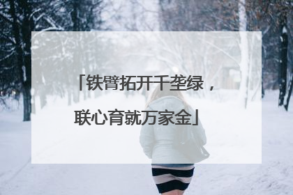 铁臂拓开千垄绿，联心育就万家金