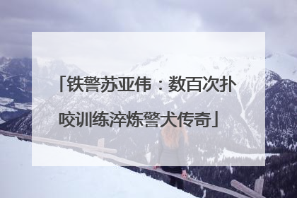 铁警苏亚伟：数百次扑咬训练淬炼警犬传奇