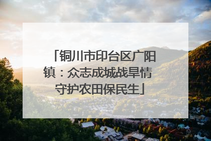 铜川市印台区广阳镇：众志成城战旱情 守护农田保民生