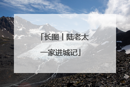 长图丨陆老太一家进城记