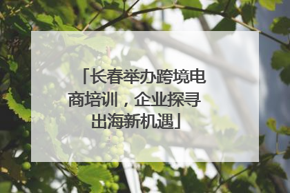 长春举办跨境电商培训，企业探寻出海新机遇