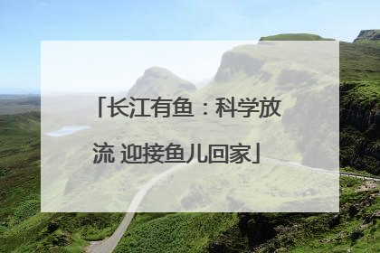 长江有鱼：科学放流 迎接鱼儿回家