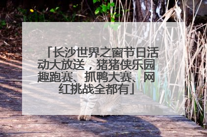 长沙世界之窗节日活动大放送，猪猪侠乐园趣跑赛、抓鸭大赛、网红挑战全都有