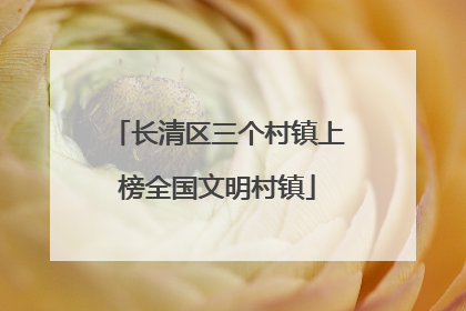 长清区三个村镇上榜全国文明村镇