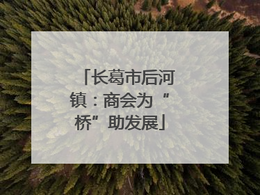 长葛市后河镇：商会为“桥”助发展