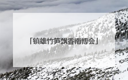 镇雄竹笋飘香南博会
