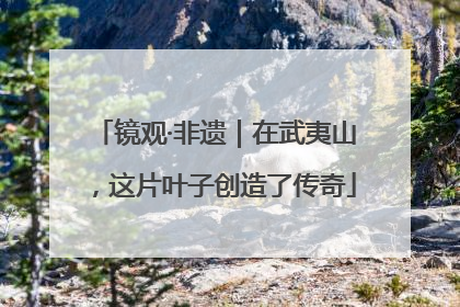 镜观·非遗｜在武夷山，这片叶子创造了传奇