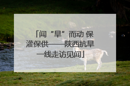 闻“旱”而动 保灌保供——陕西抗旱一线走访见闻
