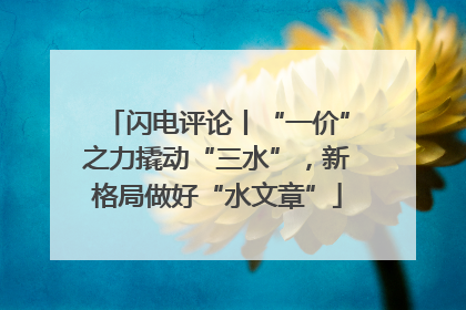 闪电评论丨“一价”之力撬动“三水”，新格局做好“水文章”