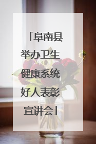 阜南县举办卫生健康系统好人表彰宣讲会