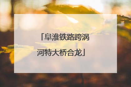 阜淮铁路跨涡河特大桥合龙