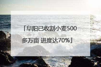 阜阳已收割小麦500多万亩 进度达70%
